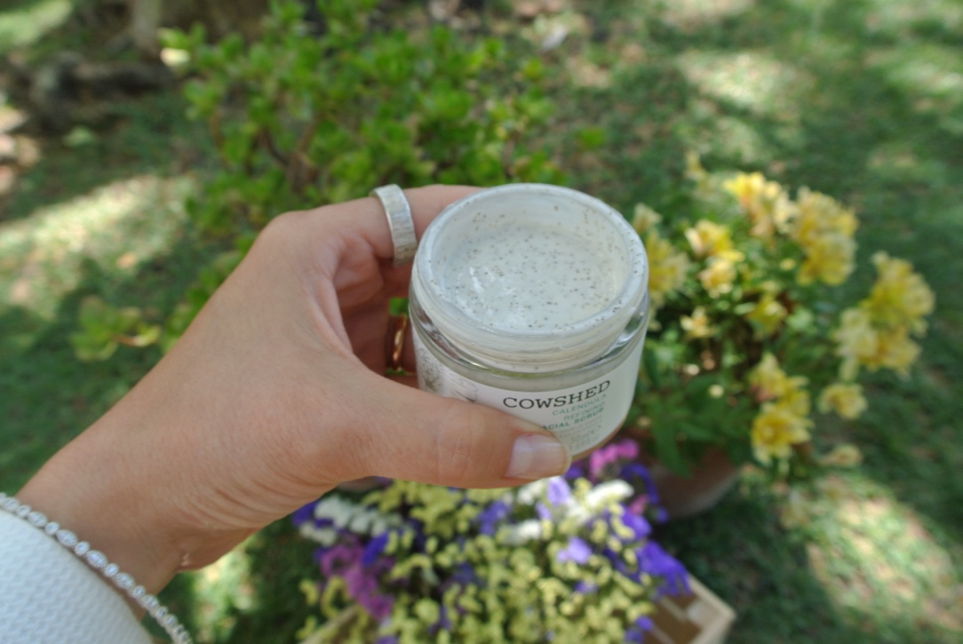 thumb_DSC_3125_1024