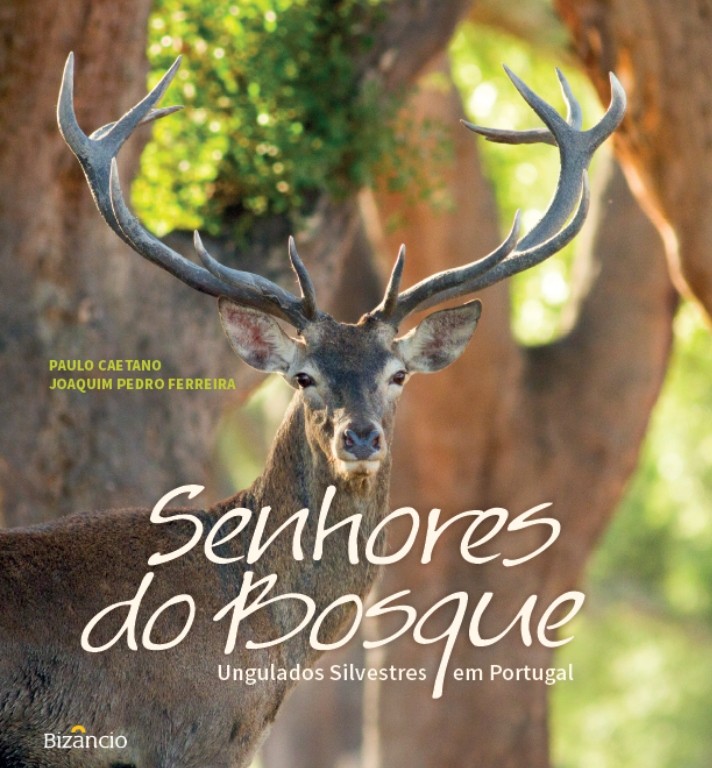 CAPA - Senhores do Bosque