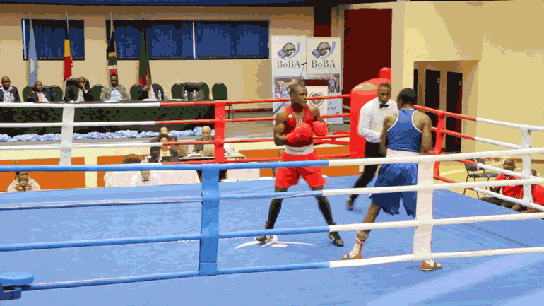 BOXE (2).gif