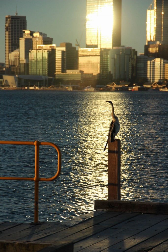 perth sunset cbd 7