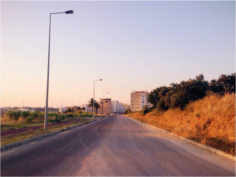 ferreira2