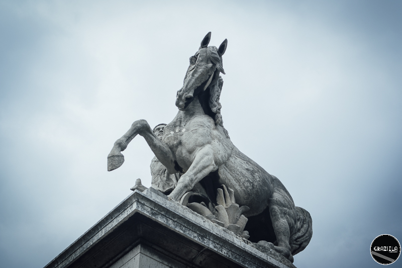 _SAM4997-41.JPG _SAM4997-41.JPG