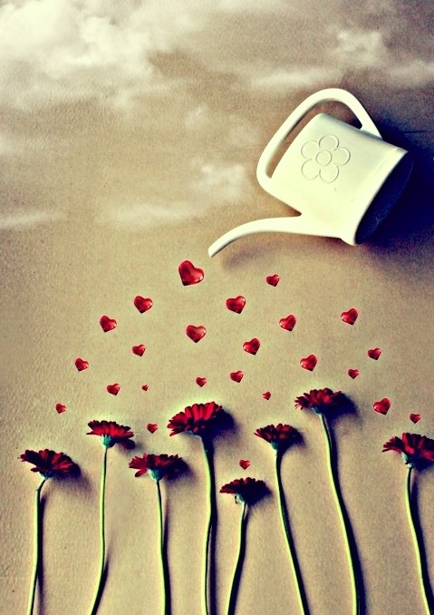 http---meme.zenfs.com-u-83f4c5dea3d64f3fde8f7e7cd6