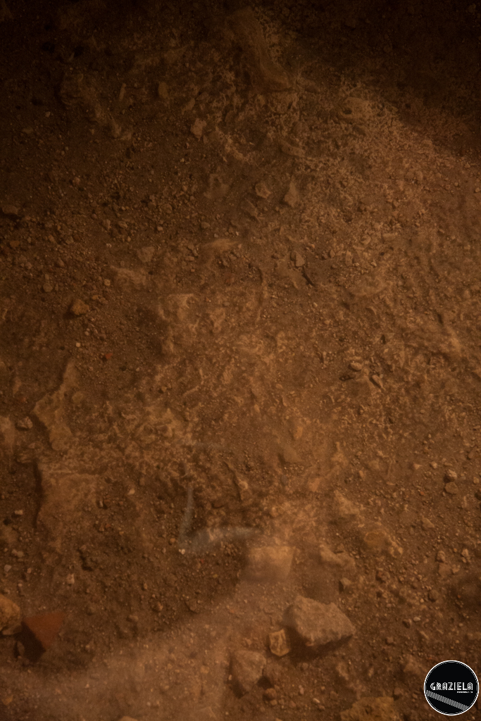 Galerias_pequenas-8868.jpg Galerias_pequenas-8868.jpg