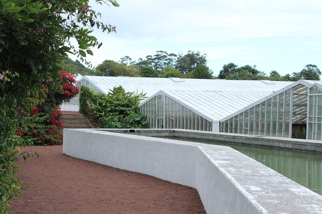 açores + arquipélago dos açores + são miguel + estufa de ananases + ananás + ananás dos açores + viajar com filhos pequenos + panazorica