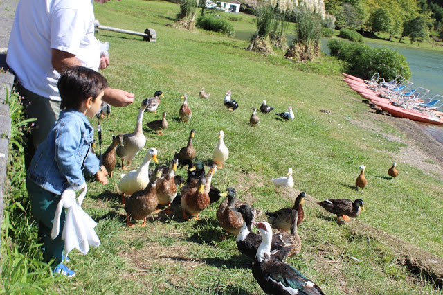 Açores + Azores + Arquipélago dos Açores + Ilha de São Miguel + vale das furnas + furnas + lagoa do Fogo + cozido das furnas + visitar portugal + beleza dos Açores + viajar em família