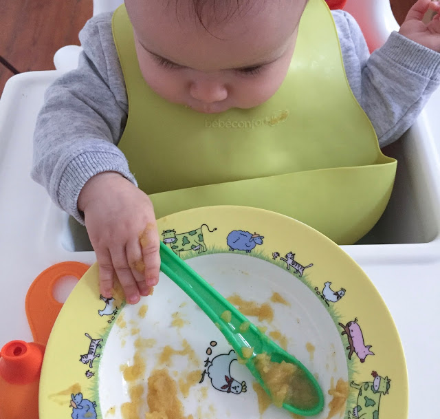 alimentação complementar + receitas caseiras para bebé + papas + papa de batata doce + papa de trigo sarraceno + uma enfermeira em casa dos vs + bebé saudável