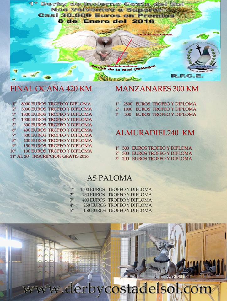 Derby Costa del Sol.jpg