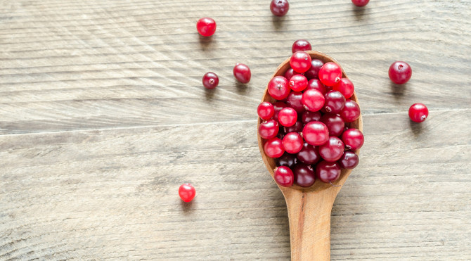 cranberry_000039576008_Small