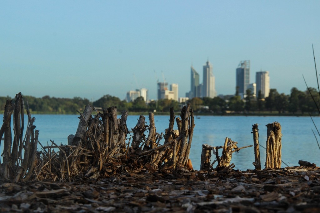 lake monger-1 (1024x683)