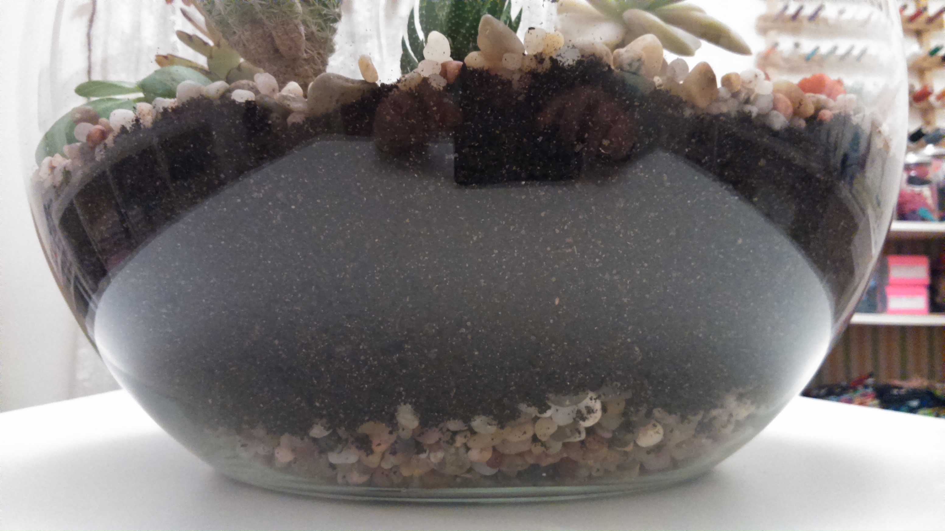 DSC_0880.jpg DSC_0880.jpg