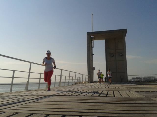 1235074_561064067289045_1137491284_n