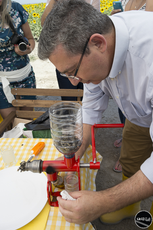 Julho-33.JPG Julho-33.JPG