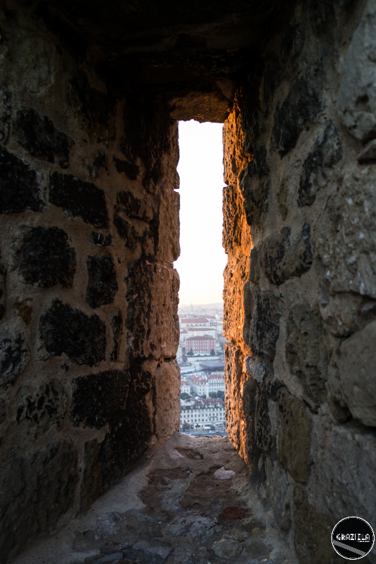 Castelo_pequenas-22.jpg Castelo_pequenas-22.jpg