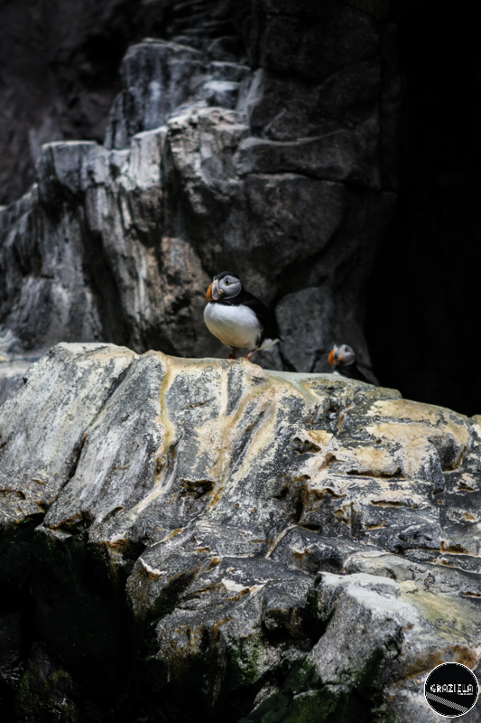 IMG_4596-5.jpg IMG_4596-5.jpg