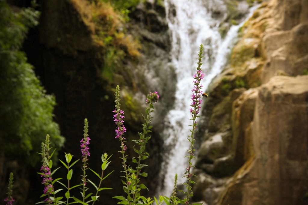cascatas de mourao a 13