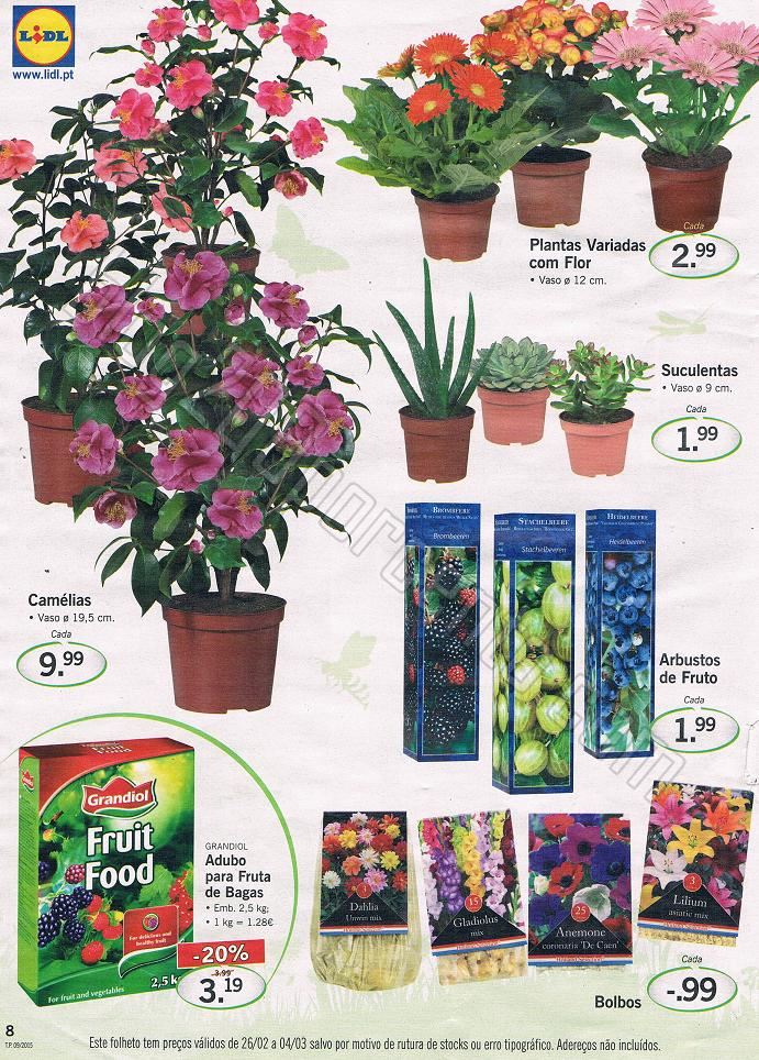 LIDL 26-02 a 4-03 8.jpg