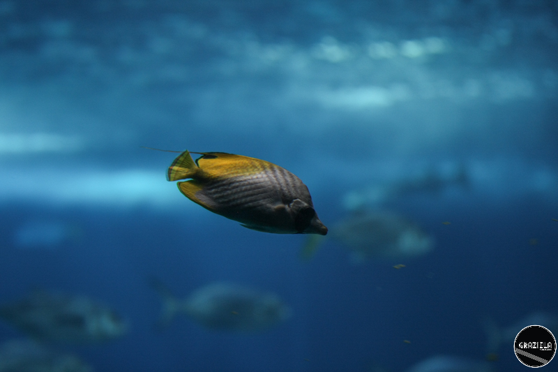 IMG_4584-3.jpg IMG_4584-3.jpg