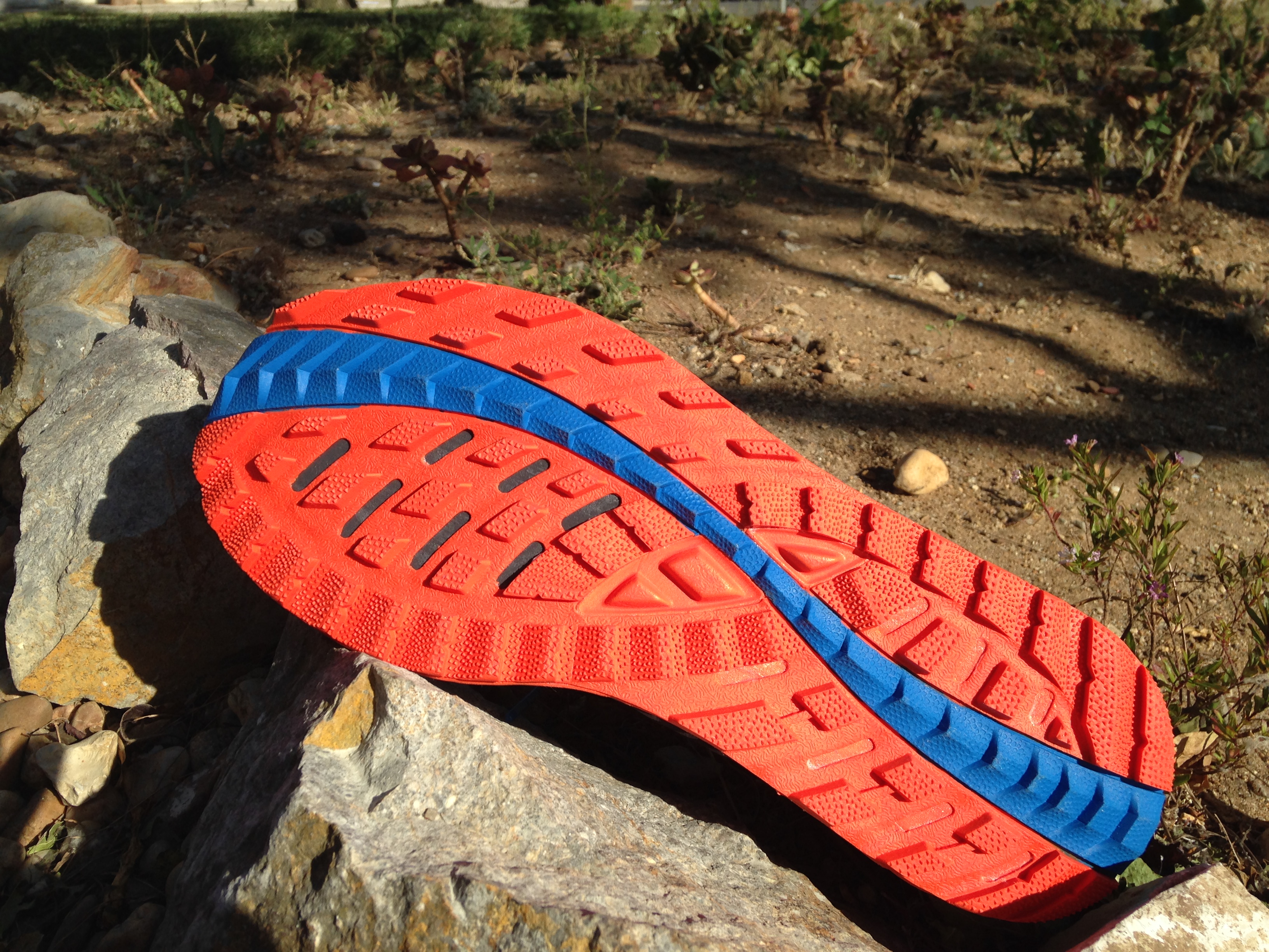 IMG_1429.JPG IMG_1429.JPG