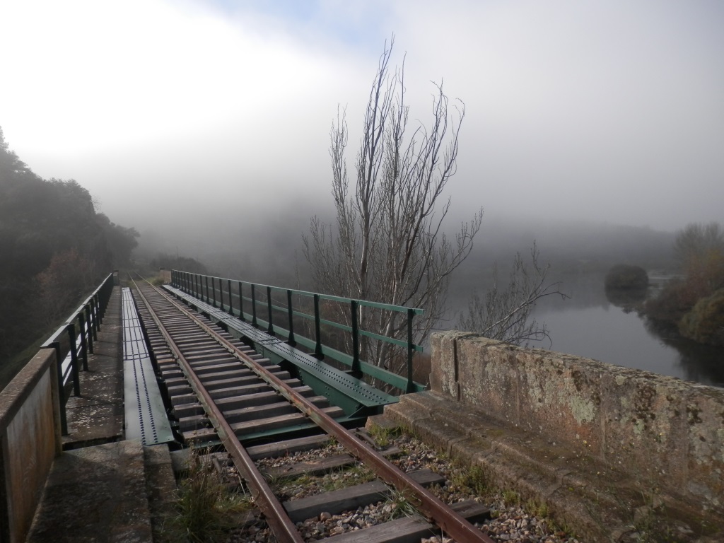 PC060498.JPG PC060498.JPG