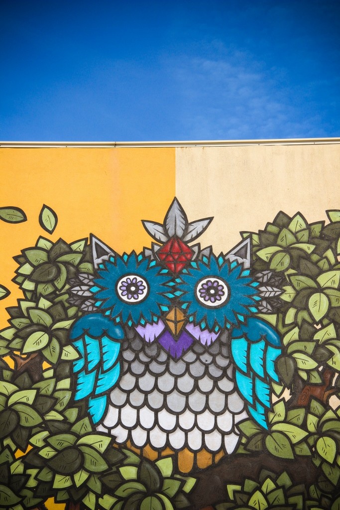 quinta do mocho o bairro i o mundo c 35