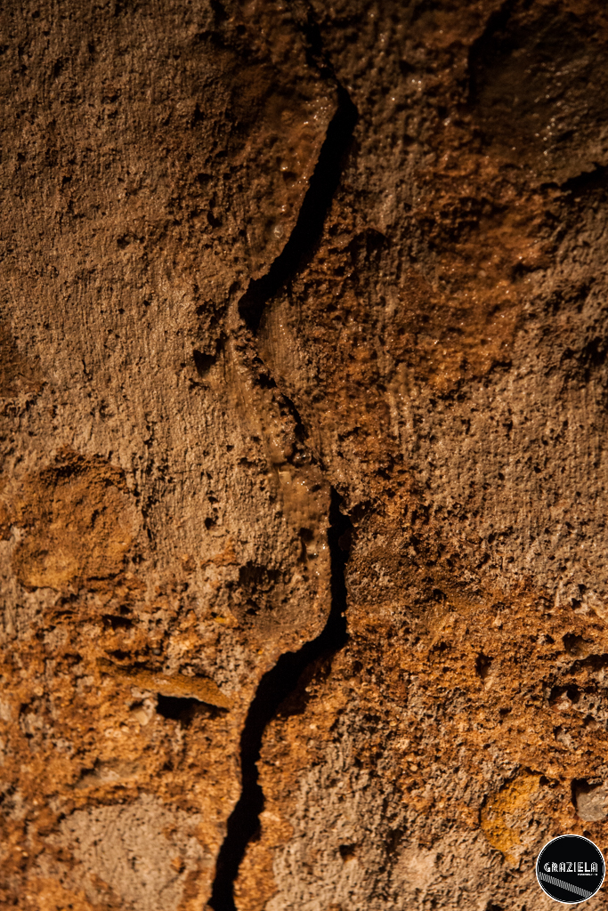 Galerias_pequenas-8870.jpg Galerias_pequenas-8870.jpg