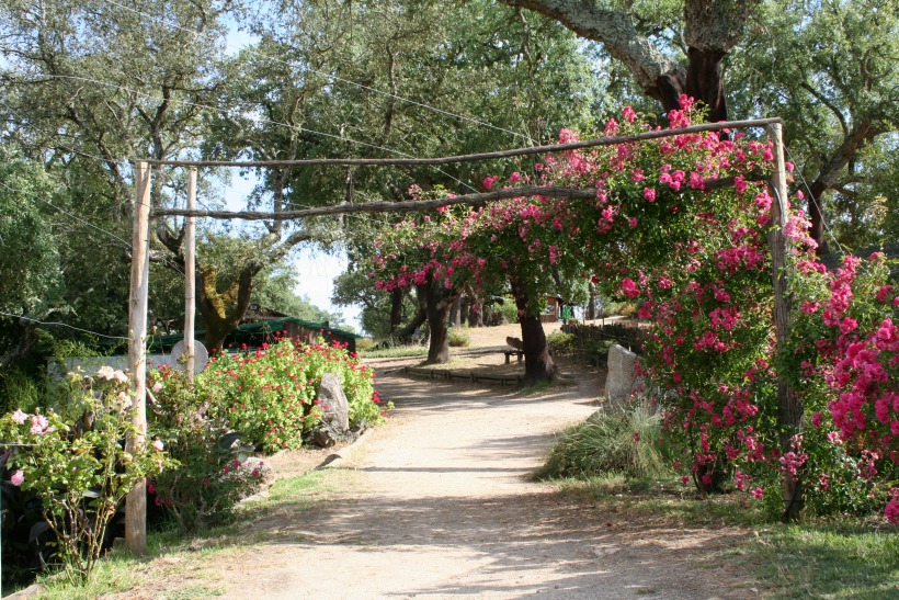 MonteSelvagem01 by HContadas