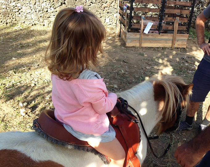 quinta-pedagogica-77777