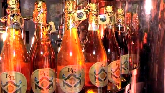 beber cerveja dourada 