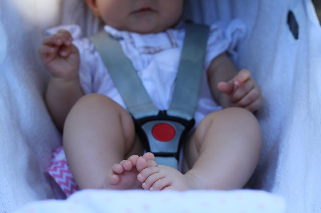 bebé + maxicosi + passeios de fim-de-semana + menina + agenda para o fim-de-semana + programas em família + pumpkin + actividades para crianças + programas para pais e filhos