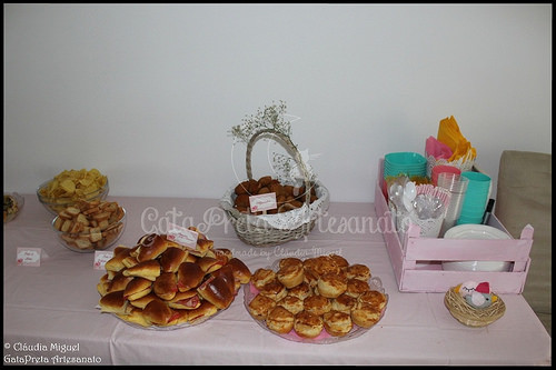 Festa do 1º aniversário da Clarinha - Casinhas e Passarinhos