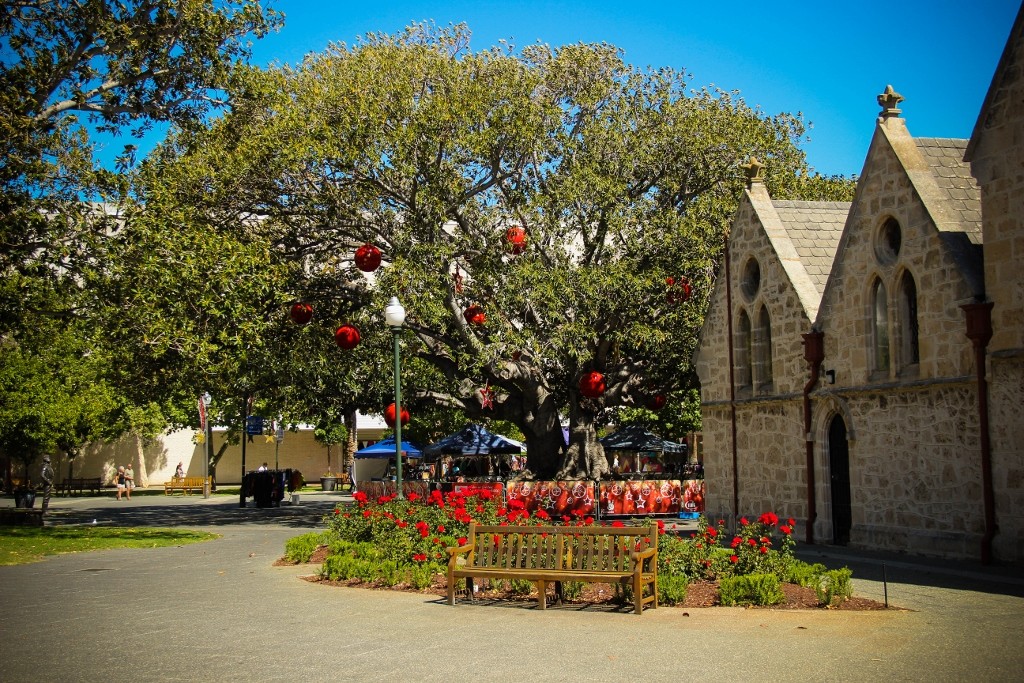 christmas tree fremantle-1 (1024x683)