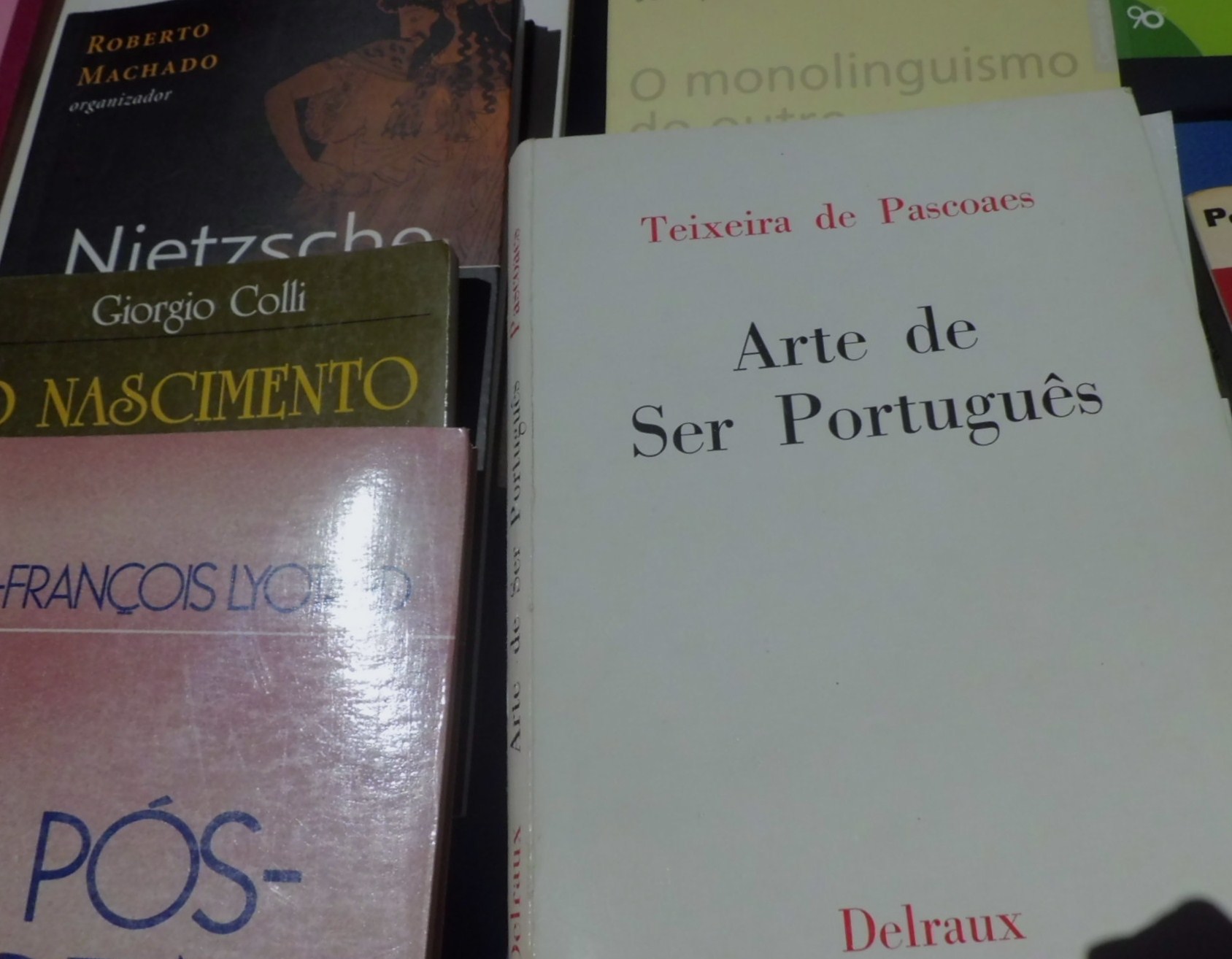 livros.JPG