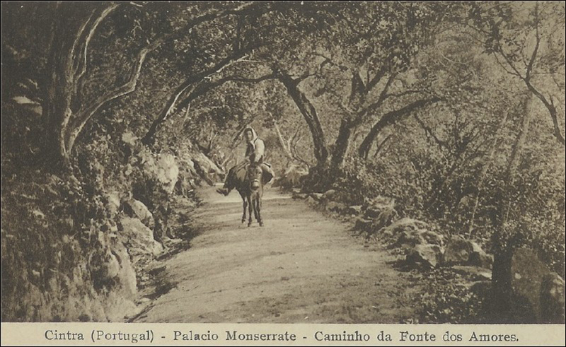 Cintra (Portugal) - Palacio Monserrate - Aminho da Fonte dos Amores.