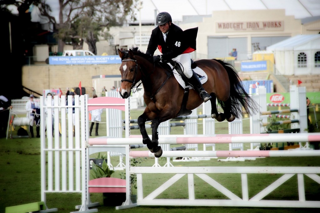 horses perth royal show 1 (1024x683)