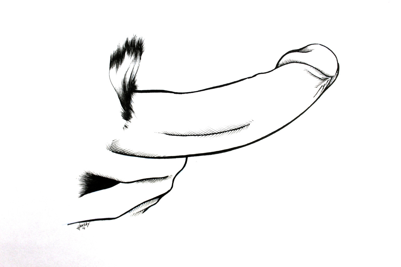 Diego Cernohovsky  (2)