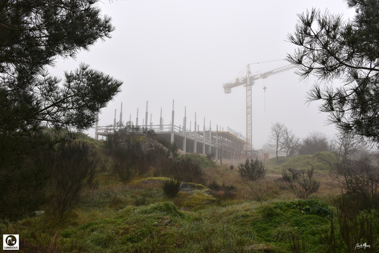 D75_2088.JPG
