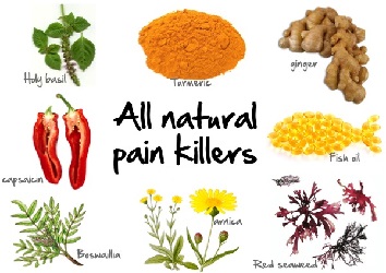 Natural pain killers (03-11-15)
