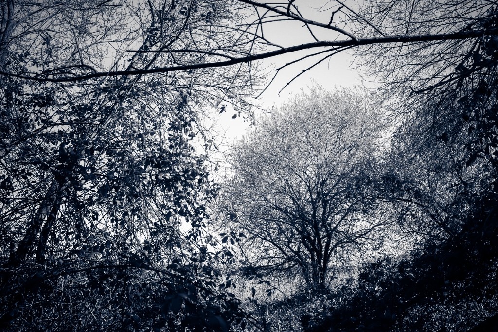 lagoa da estacada a 13