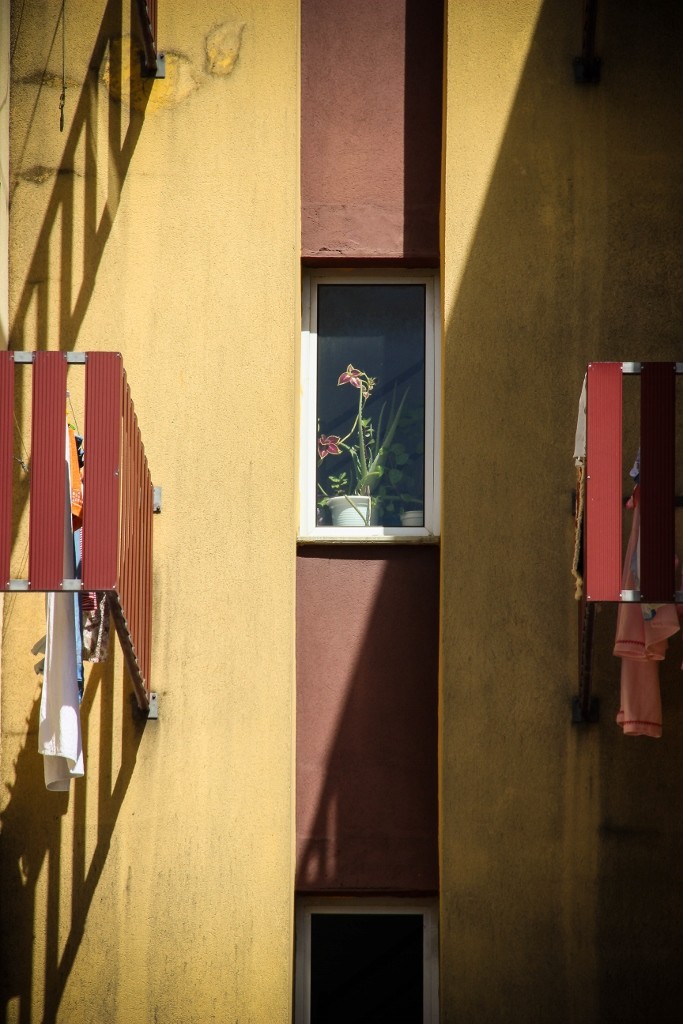 quinta do mocho o bairro i o mundo a 17