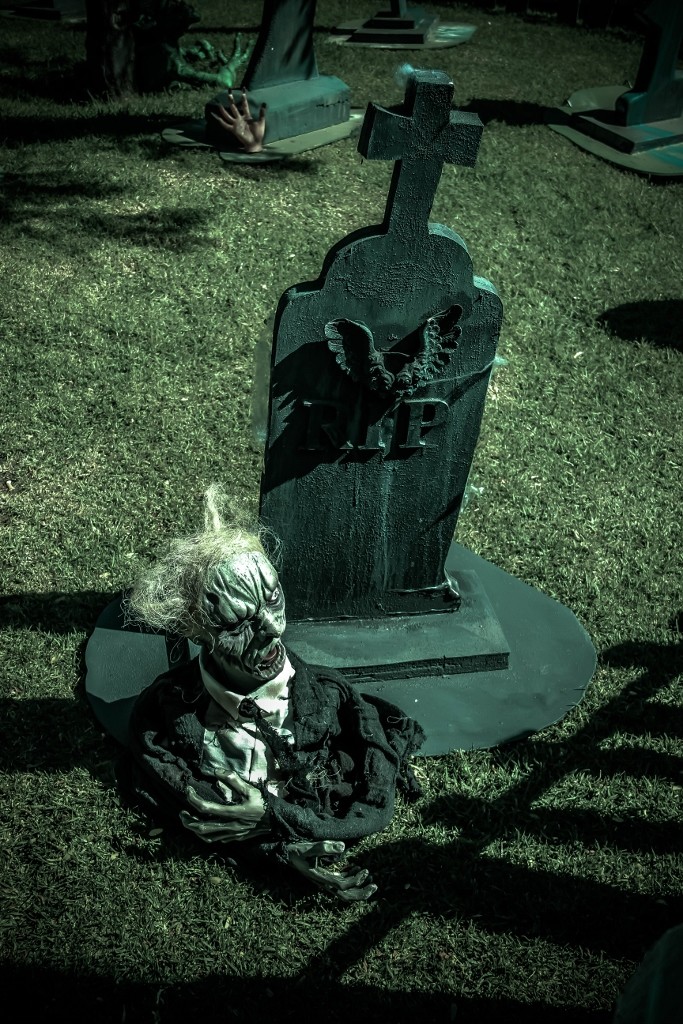 halloween perth 5 mexican day of the dead