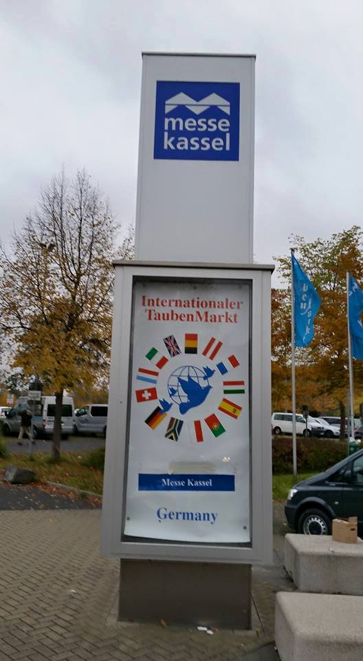 kassel20.jpg