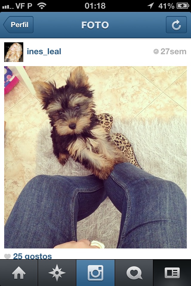 1062665_4708188596143_1780395816_n.jpg 1062665_4708188596143_1780395816_n.jpg