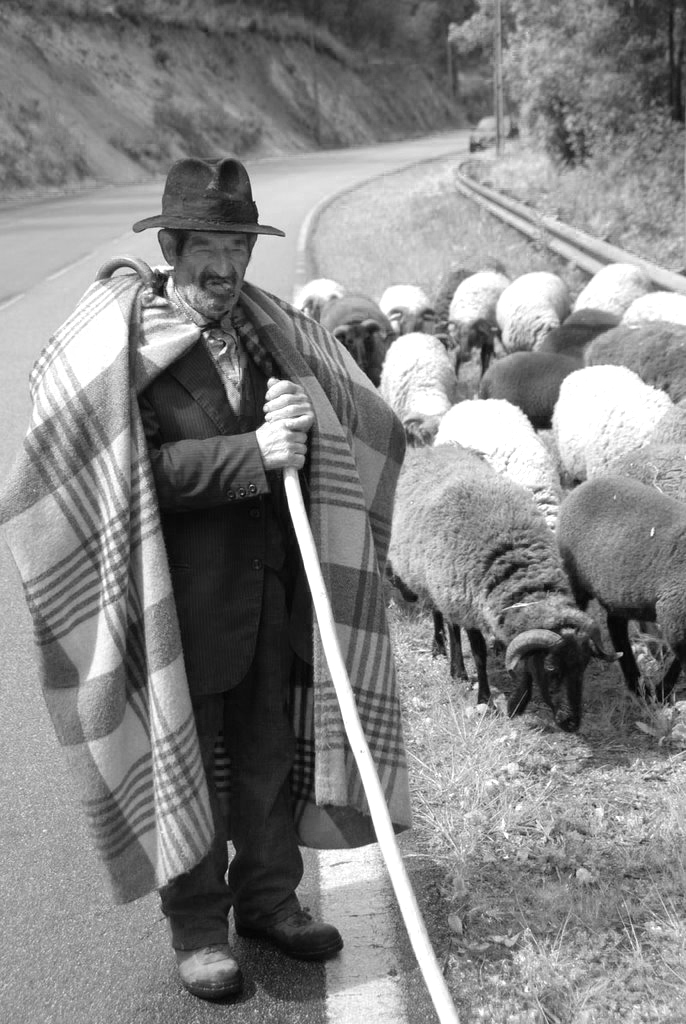 26670627a.jpg 26670627a.jpg