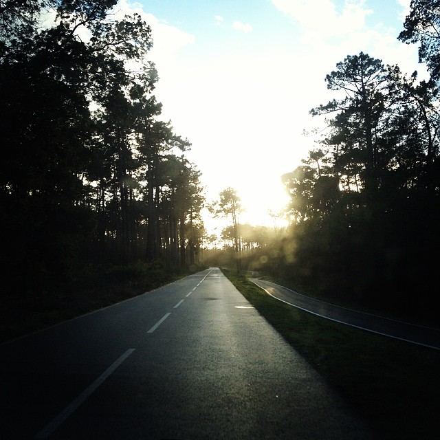 SilviaSilva02 by HContadas