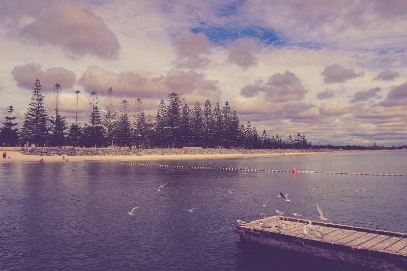busselton-1 (800x533)