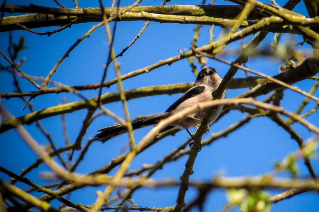 lagoa da estacada a 13