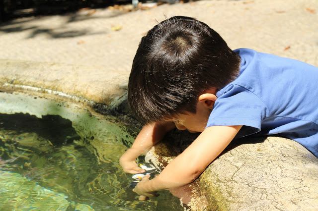 passeios em família + praça das flores + são bento + jardins de lisboa + parques de lisboa + fonte + brincar no jardim + crianças + actividades para crianças + actividades fora de casa