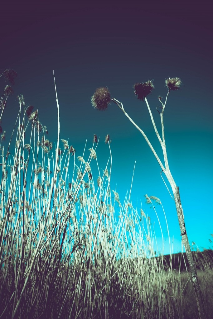 lagoa da estacada b 21