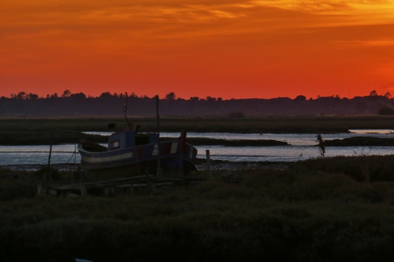 carrasqueira 2